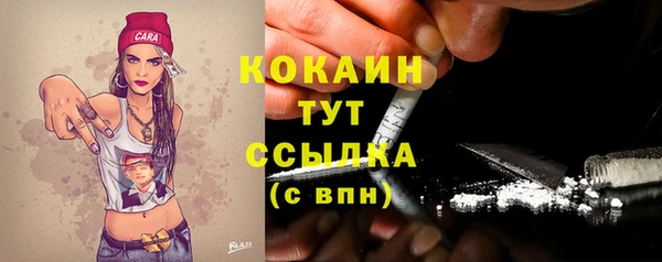 ALPHA PVP Медвежьегорск
