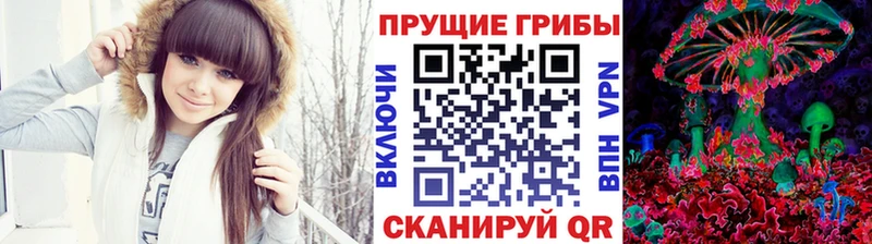 где купить наркотик  Петровск-Забайкальский  Псилоцибиновые грибы Psilocybe 